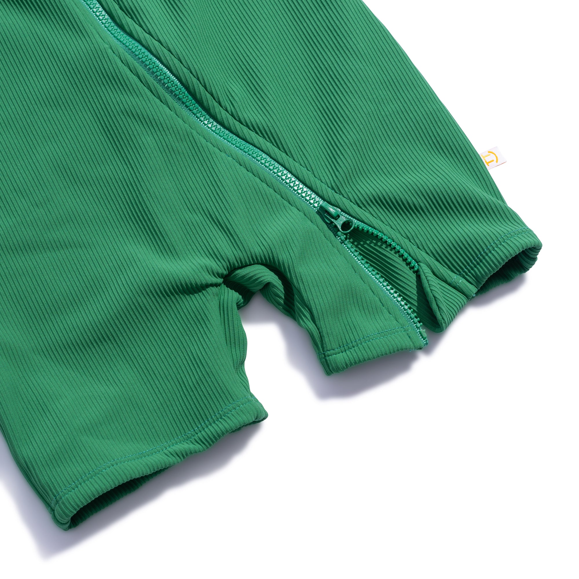 Crocodile Suit